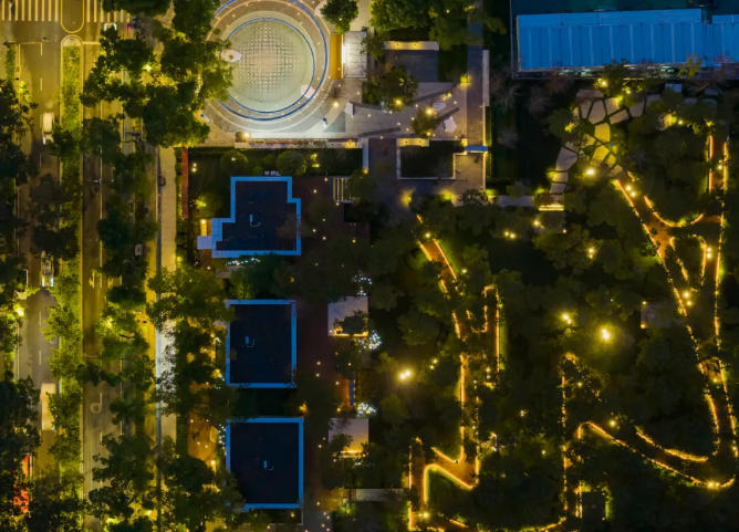 城投•红树林公园开放！邀杉景入画，启幕主城森活自然想象